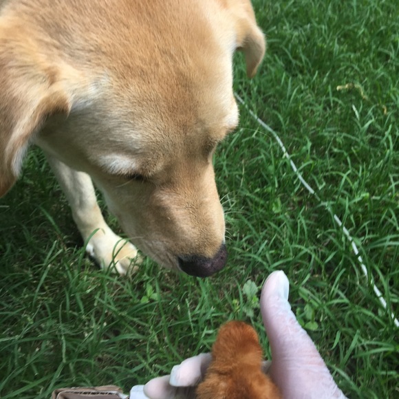 Meet your Posher, Janet - Picture 3 of 16